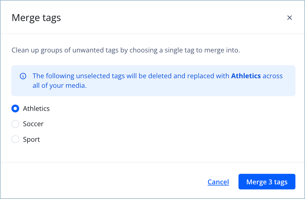 Merge tags panel