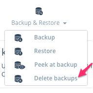 Step 1: Click on Backup & Restore in the manage strip