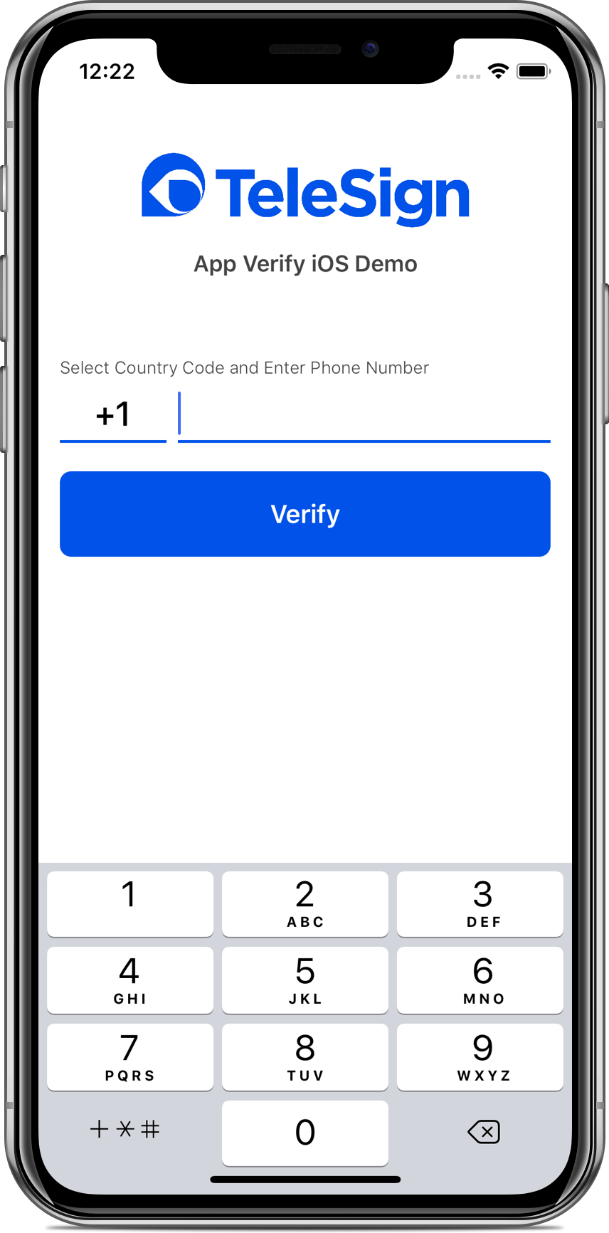 A screenshot of a sample app screen asking for your phone number.