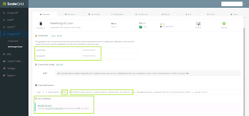 dbeaver connect to postgresql