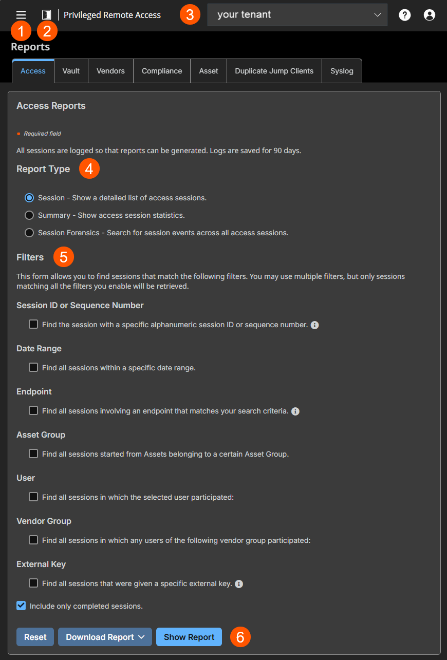 An image of the "Access Reports" section from a Privileged Remote Access system. The interface includes options to generate reports based on filters such as session ID, date range, endpoint, Asset Group, user, vendor group, and external key. Buttons for resetting the form, downloading the report, and showing the report are also visible.