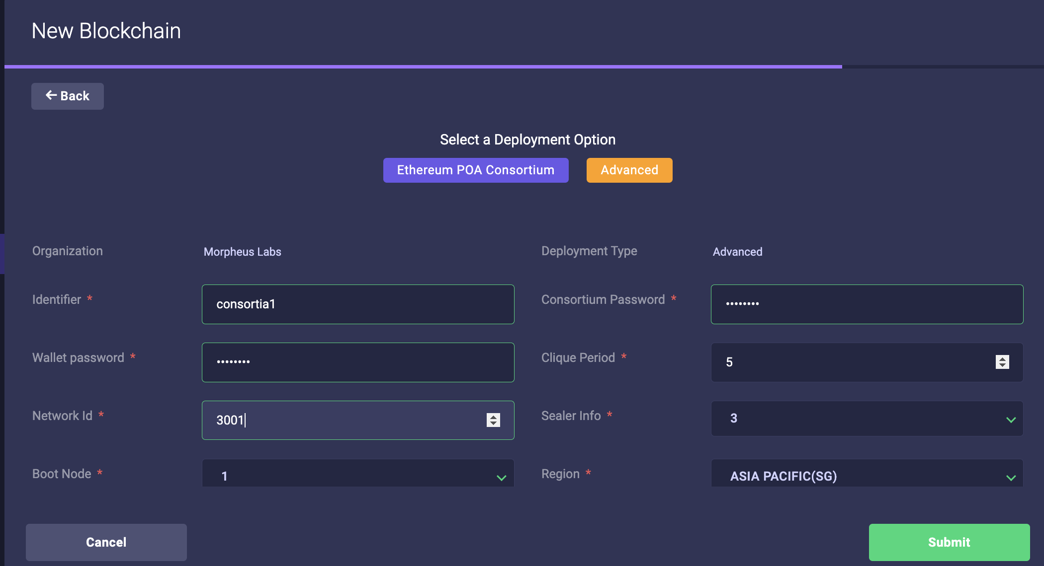 Example of Ethereum POA consortium input form before network is created