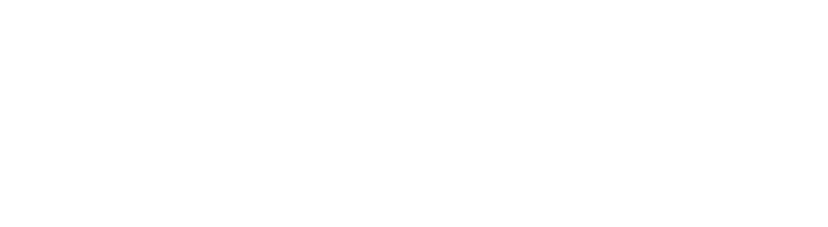 PayZu
