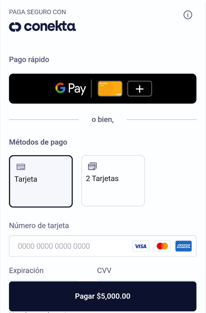 Componente de Pago renderizado con todos los métodos habilitados