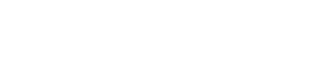 LeanIX Dev