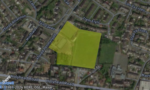 Polygon geometries in the HERE Map Image API