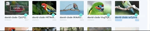 Select multiple.gif