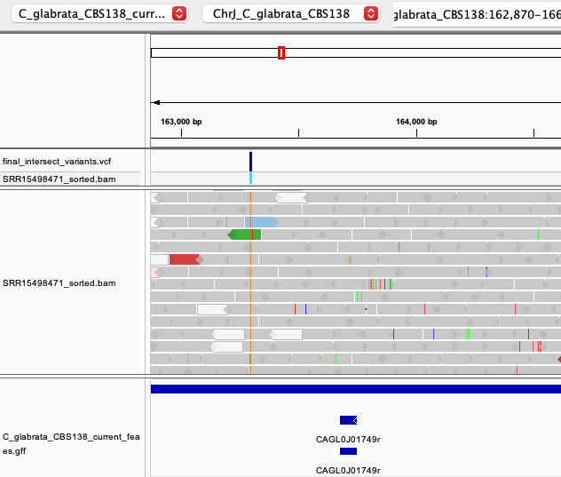 Fig. 7: An example of intergenic SNP on chromosome J.