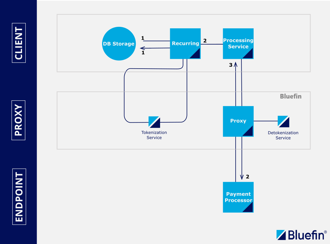 API-Based Tokenization and Detokenization Processing