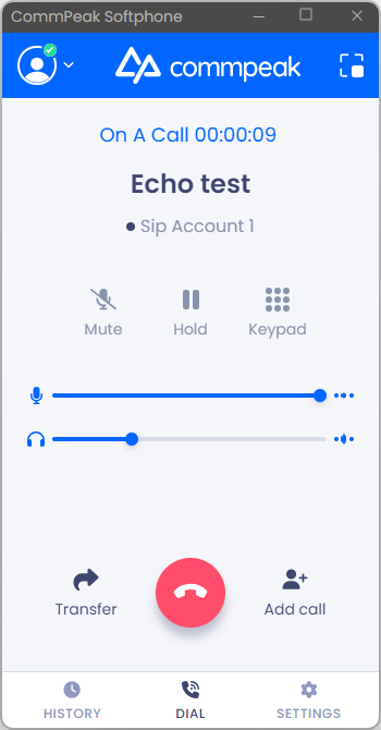 Screenshot of the echo test in progress