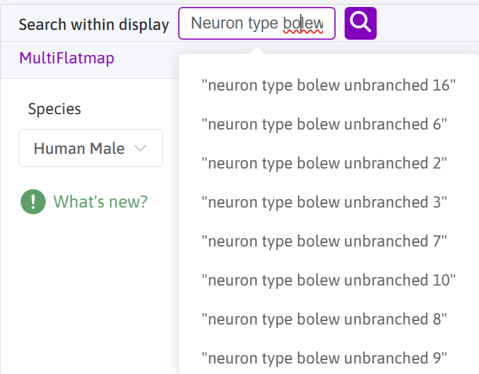 The dropdown search results for the query 'Neuron type bolew unbranched'.