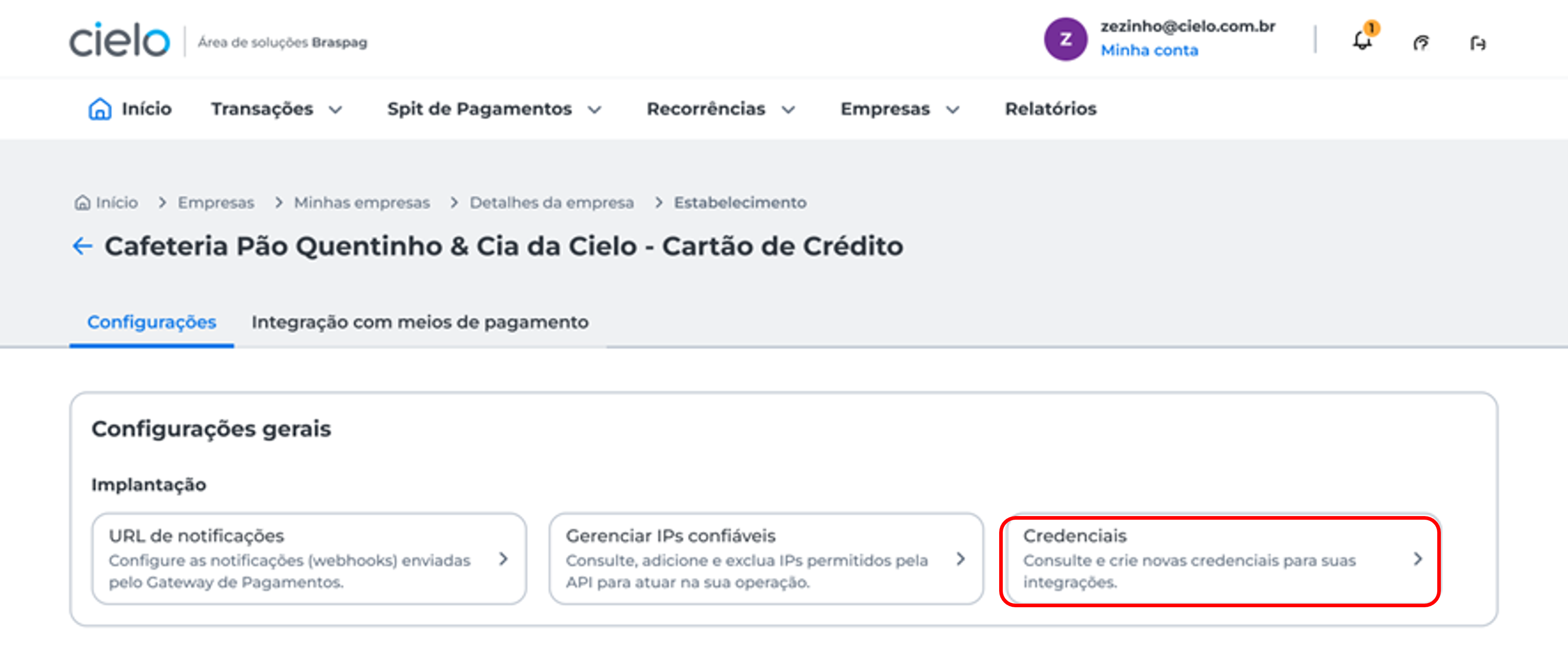 Em **Configurações gerais**, clique em **Credenciais**