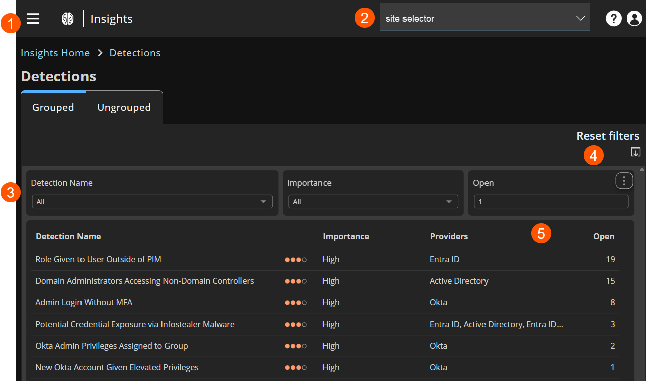 The Detections page summarizes areas of potential risk or compromised entities.