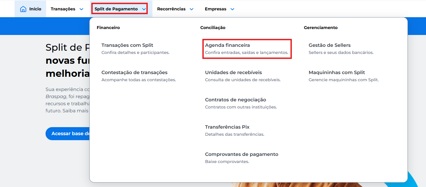 Navegue pelo menu “Split de Pagamento > Agenda Financeira” para acessar os lançamentos e filtros disponíveis.