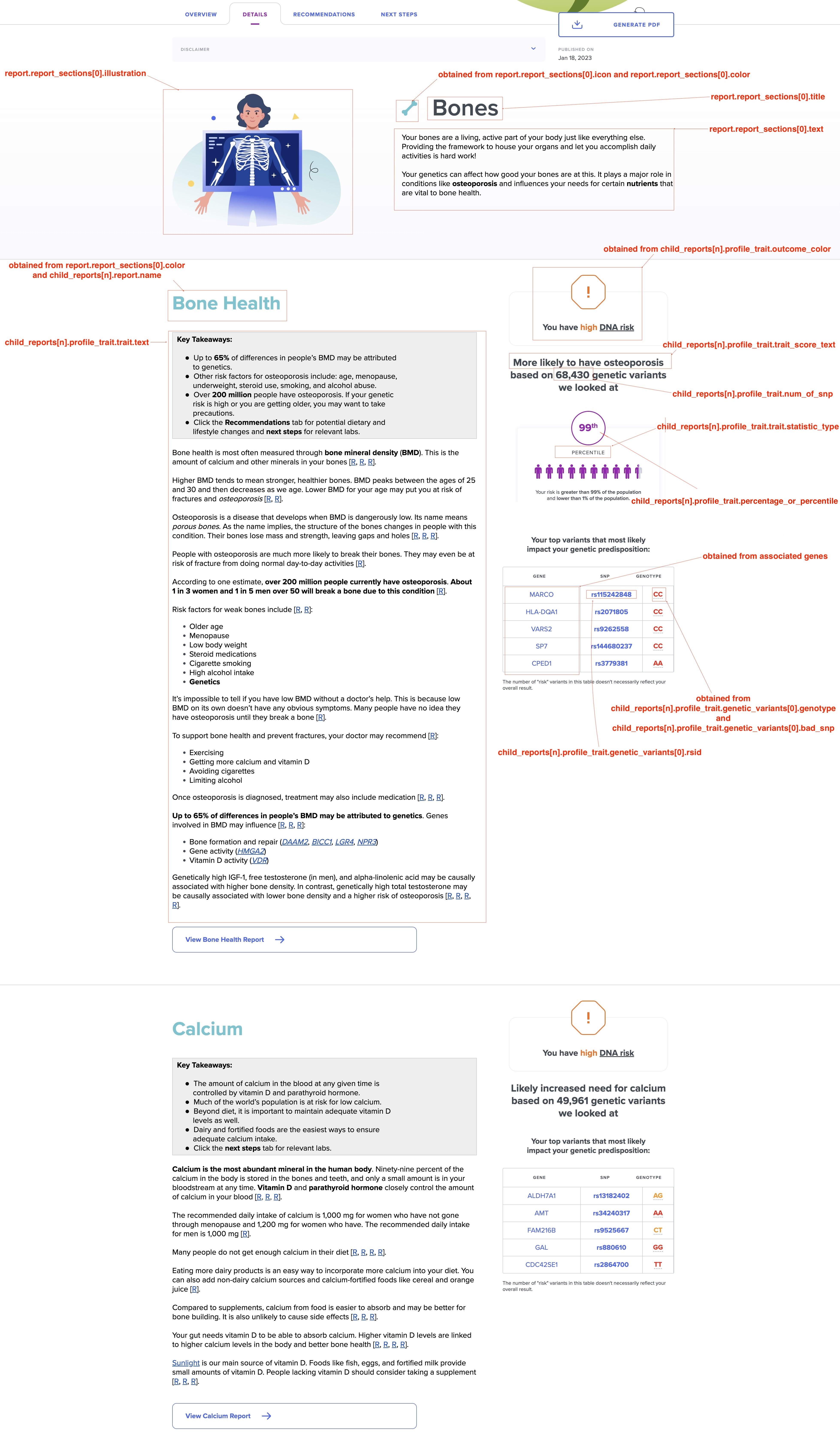Summary report details
