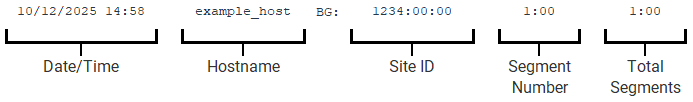 Alt text: "A table displaying data with four columns labeled: Date/Time, Hostname, Site ID, Segment Number, and Total Segments. The first row shows example values: '10/12/2025 14:58', 'example_host', 'BG: 1234:00:00', '1:00', and '1:00'."