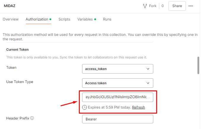 Figure 2. Information about the current token in the Midaz overview page.