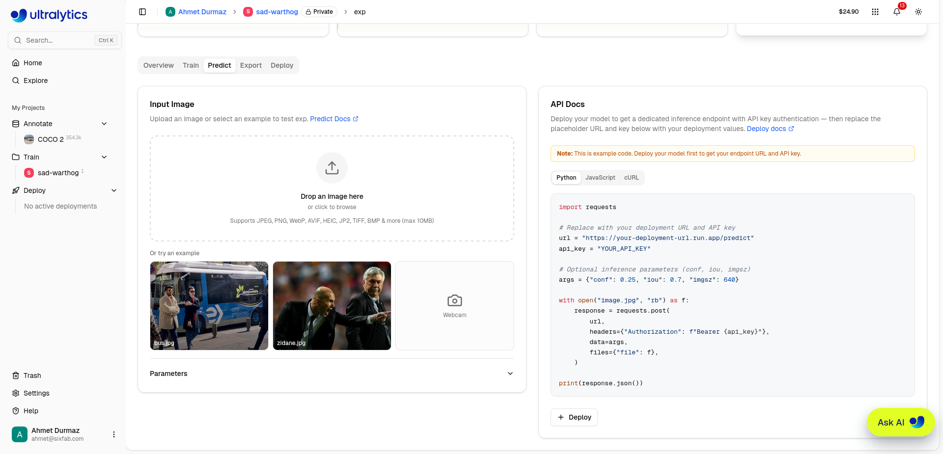 Predict tab on Ultralytics Platform with an image upload area, webcam option, built-in example images, and an API documentation panel.
