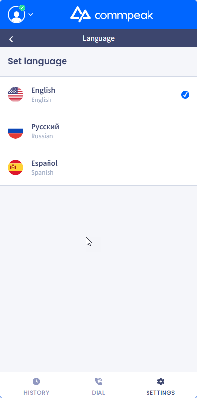 Screenshot of the Language options