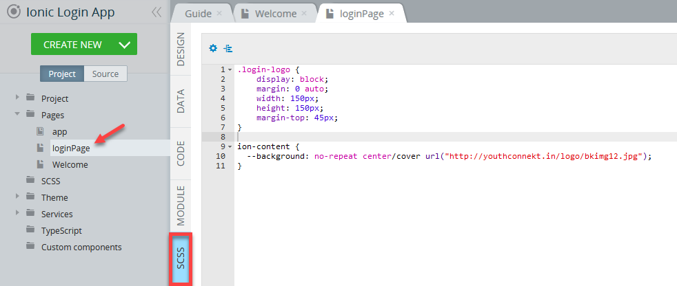 Modifying SCSS of **loginPage**