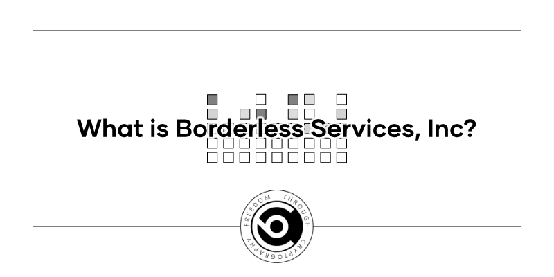 WhatIsBorderlessServices?.png