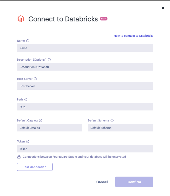 Databricks Connector Form