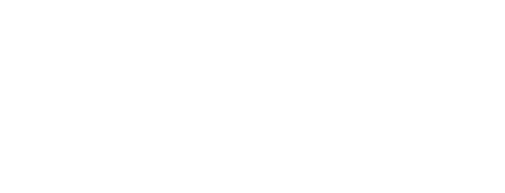 iON