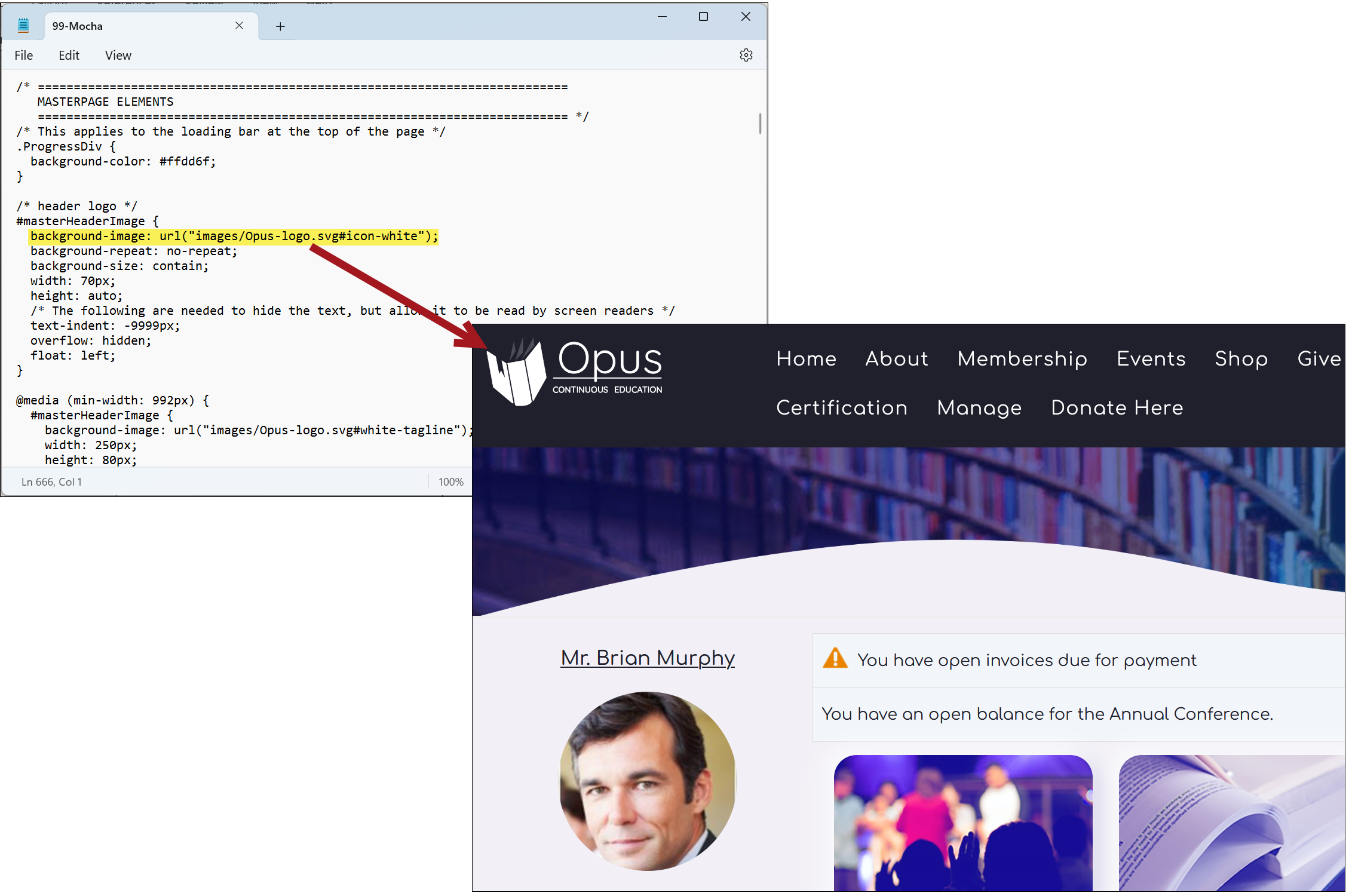 Changing the header logo