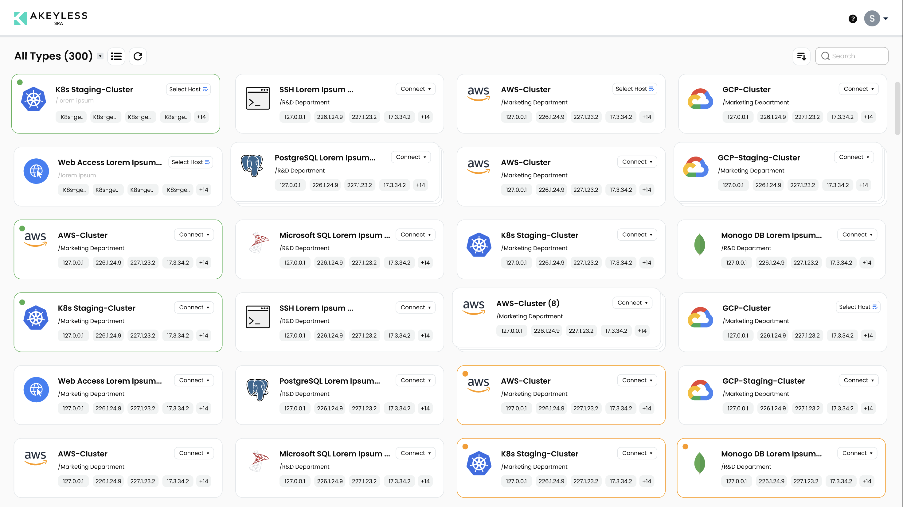 Secure Remote Access Portal resources view