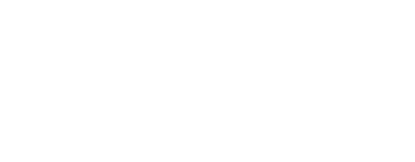 Finmo Product