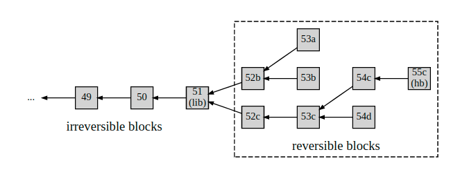 Network Peer Protocol EOSIO Developer Docs(2).png