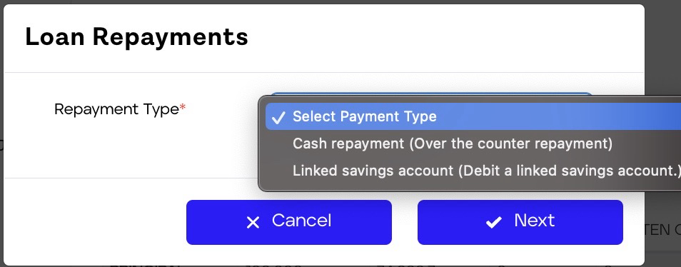 Loan Payment Options