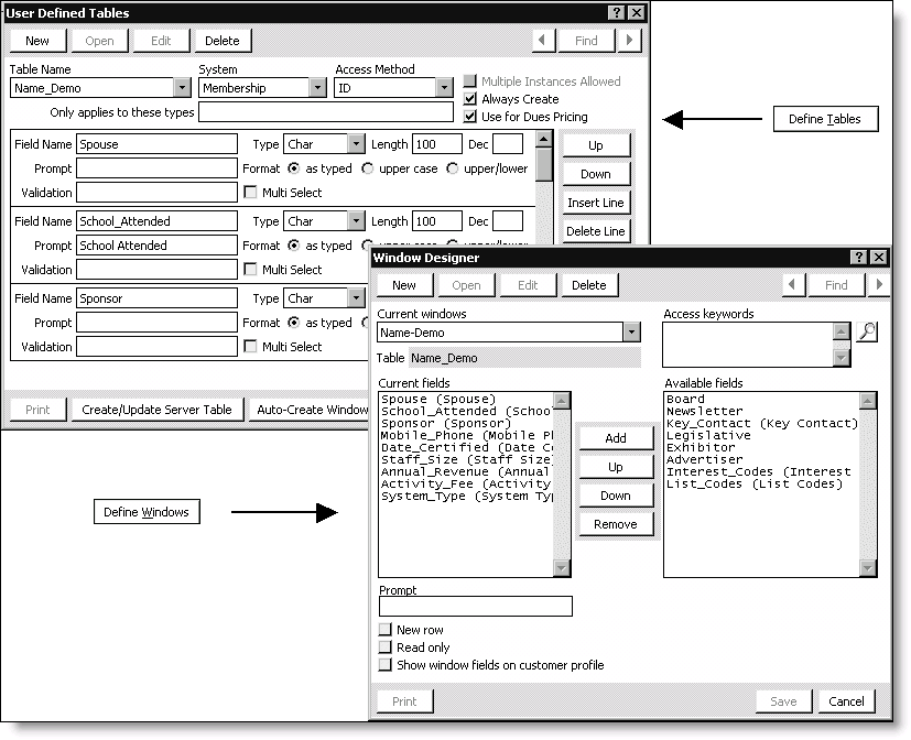 In the User Defined Tables window, we selected the Name_Demo table and defined the fields we wanted to use. When we created the user-defined Demographics tab, we chose the Name_Demo table, and selected only nine fields from the table to display in our Demographics tab.