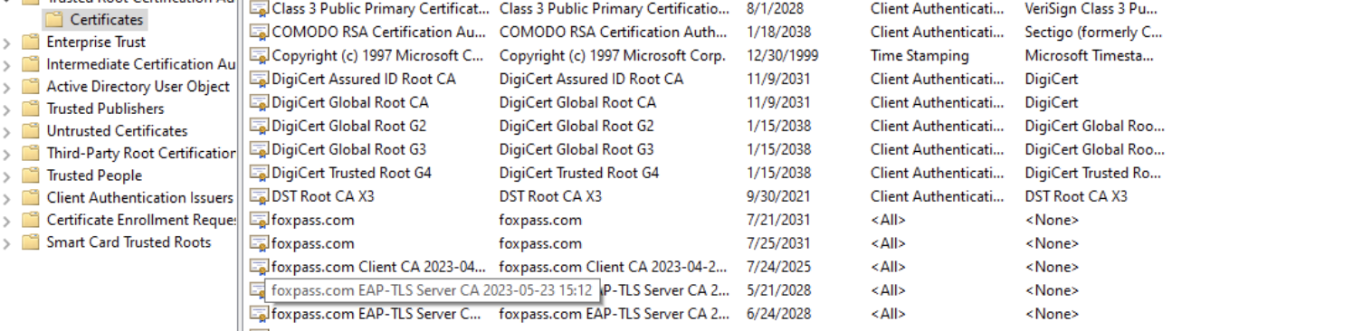 Client CA and Server CA in Windows