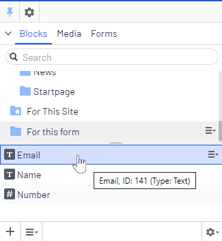 Screenshot of the For this form folder in the assets panel where showing configured form elements