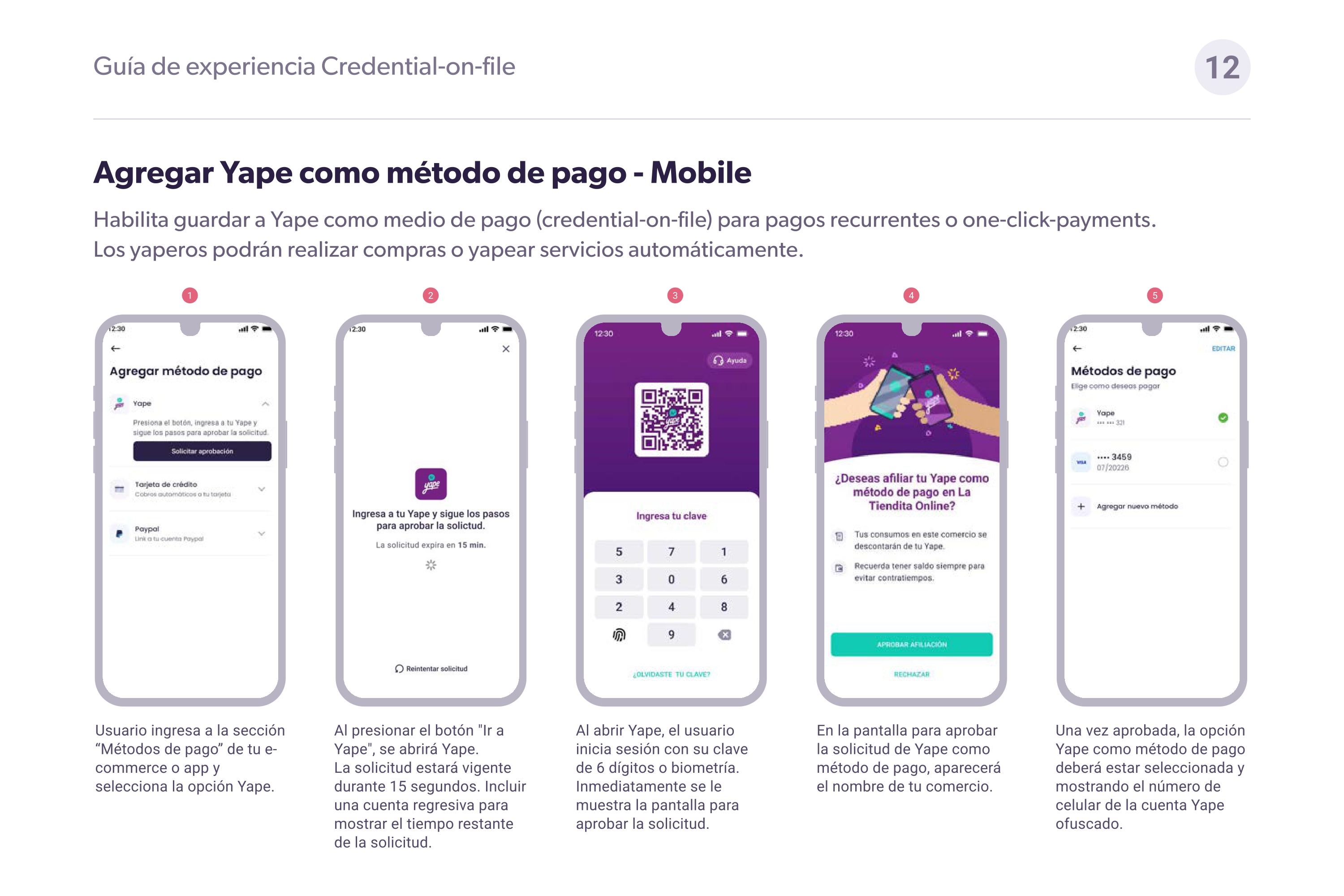 Guía visual - Yape en 2 columnas