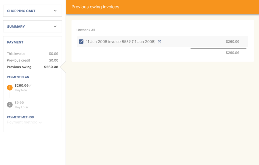 Figure 237. List of outstanding invoices and the Pay Now amount showing the amount to be paid