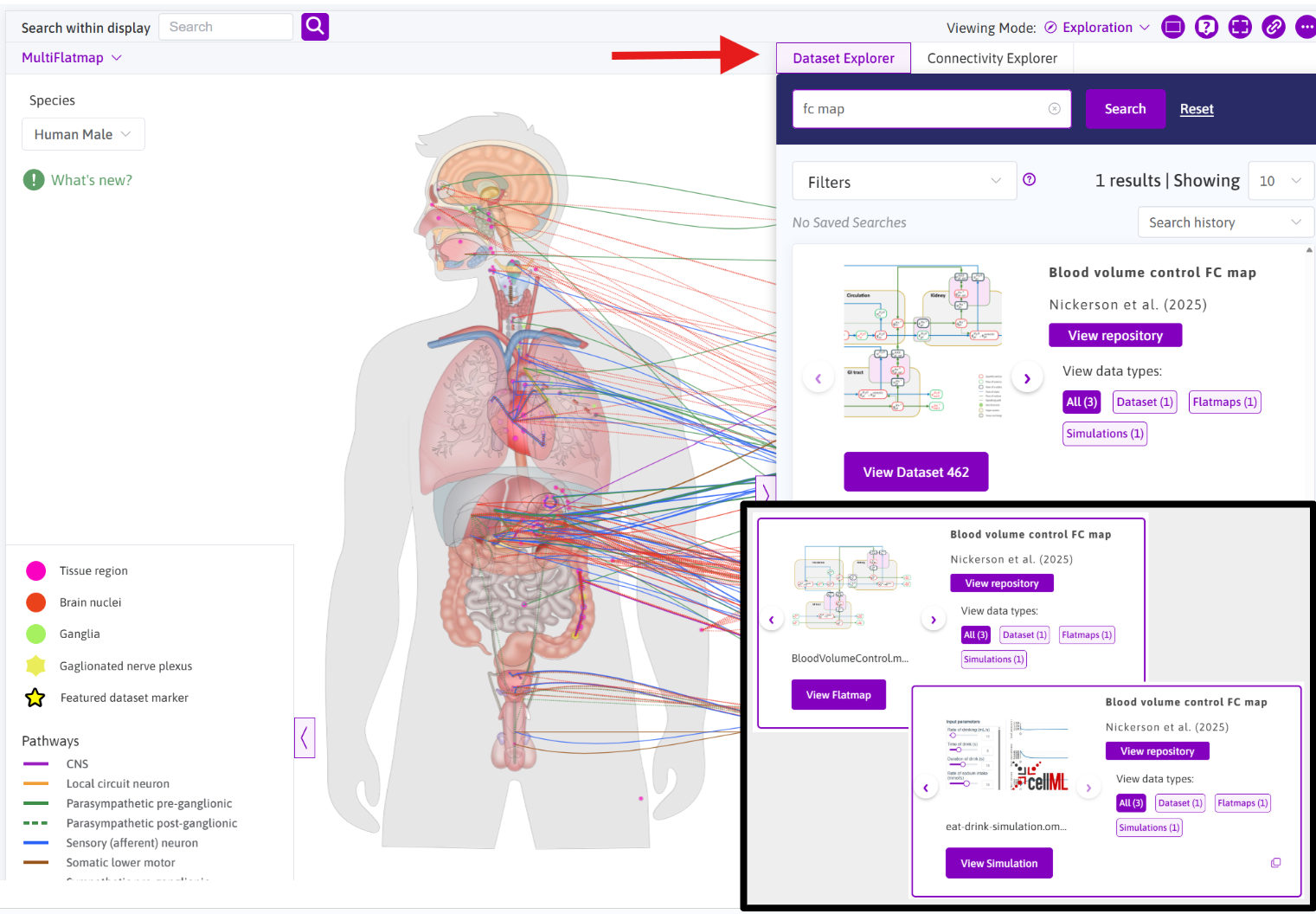 Connection information show graphically