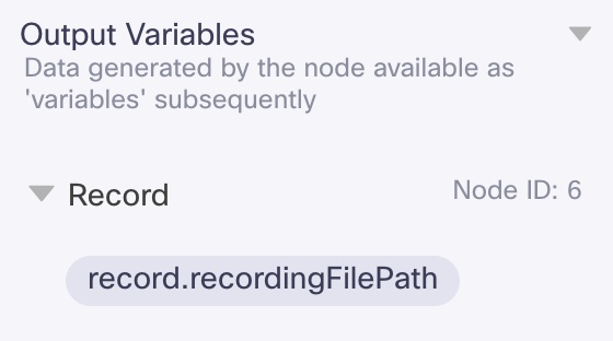 Record Node Output Variables