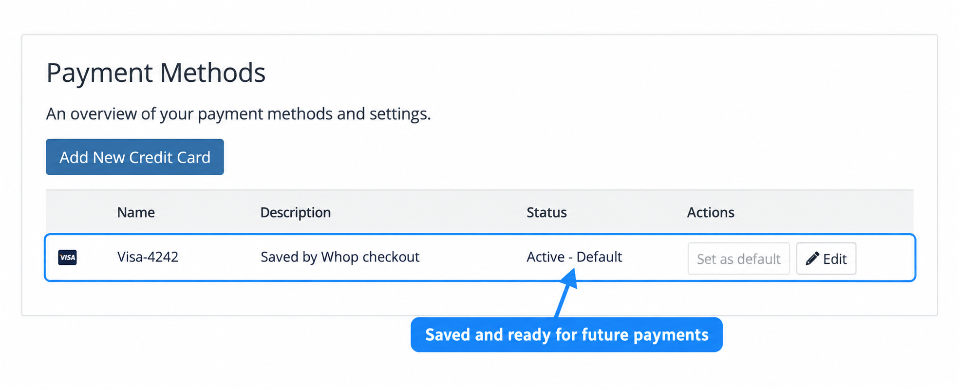Saved Visa listed as the active default