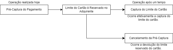 Esquematização do Fluxo de Processo para essa modalidade de pagamento