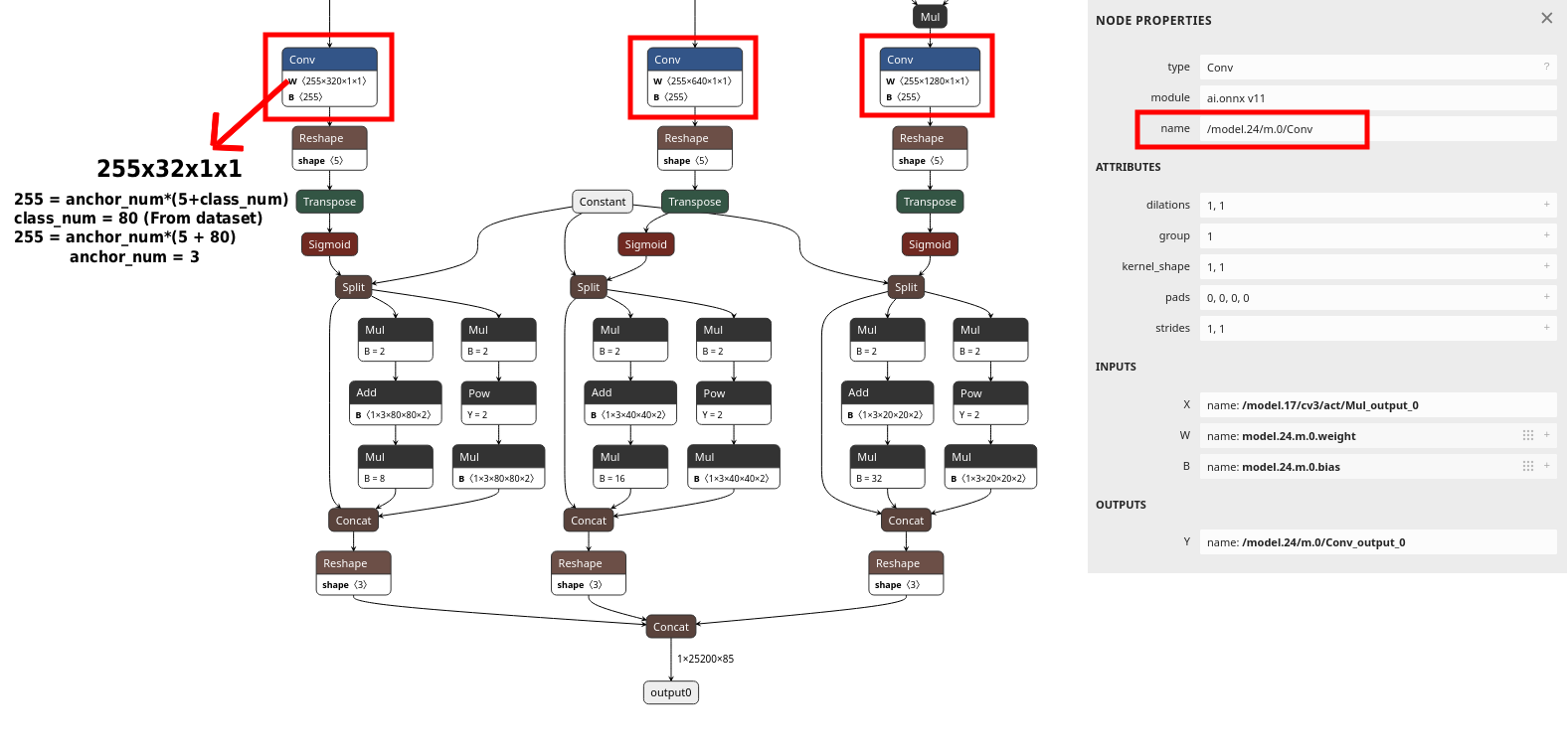 Anchor-based YOLO detection head visualised in Netron. Three Conv nodes in the detection head are highlighted in red. The Node Properties panel on the right shows the exact node name to copy into the PPU layer config, with output channel count 255 confirming 3 anchors × (5 + 80 classes).