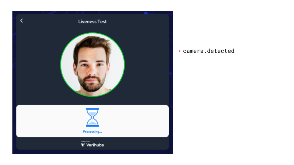 Verification theme names/paths on processing/final verification with face detected border color