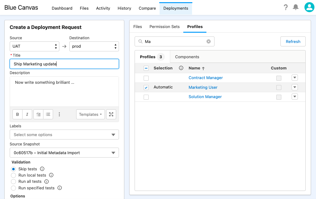 Deploying Salesforce Profiles & Permissions with Blue Canvas