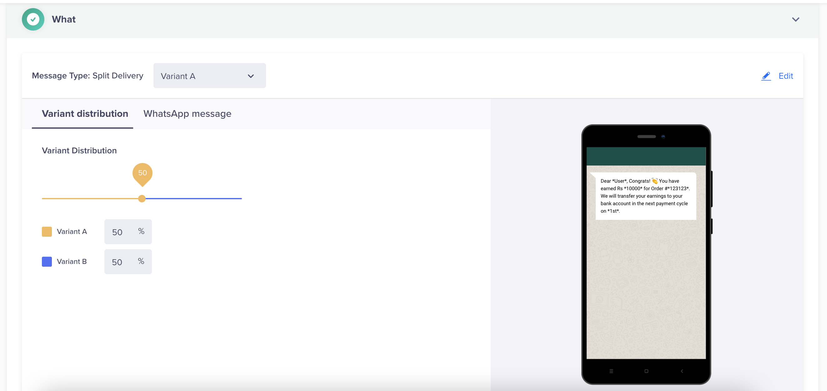 As the image represents, you can define the percentage split for your message variants