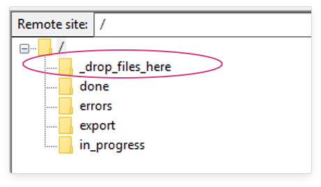 Drag and drop your test file into the _drop_files_here folder