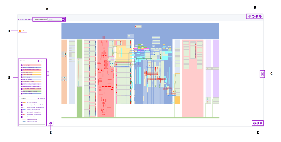 Figure 6: The Functional Connectivity (FC) map interface. By default, all systems are hidden.