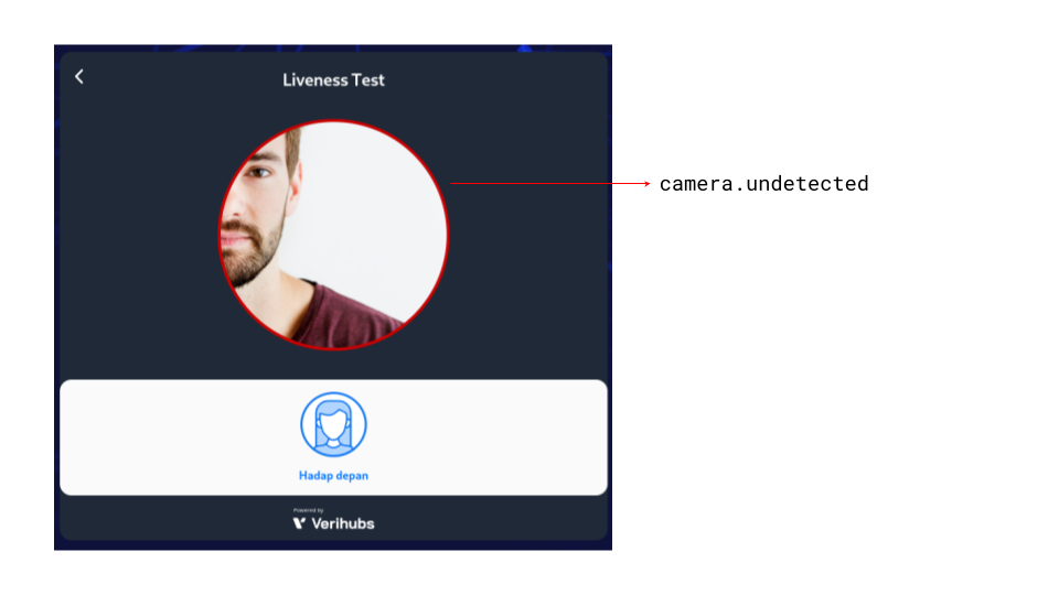 Verification theme names/paths on running verification with undetected face border color