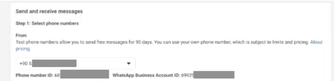 Phone Number ID and WABA ID