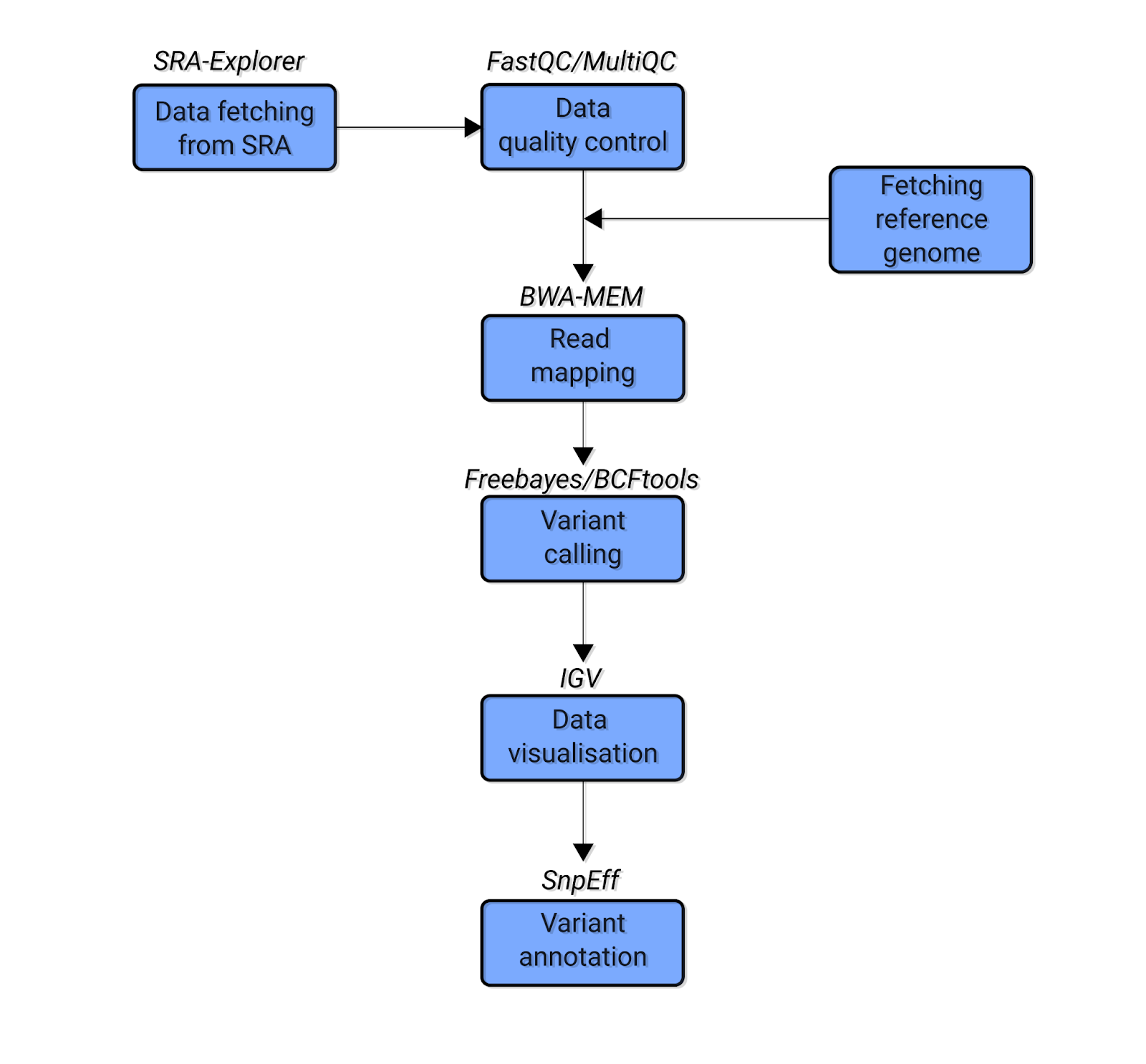 Fig. 1: The simplified schematic bioinformatics pipeline of the variant calling analysis covered in this tutorial. Blue boxes indicate the types of analysis. The text above the boxes indicates the software used for each analysis.